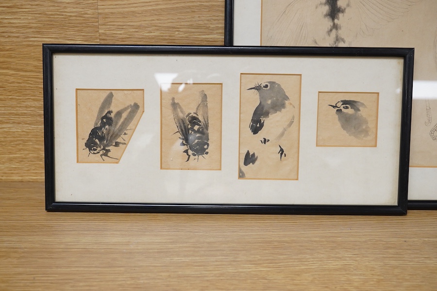 Chinese school, five studies of insects and birds, four mounted and framed as one, monochrome ink and wash, largest 27 x 37cm